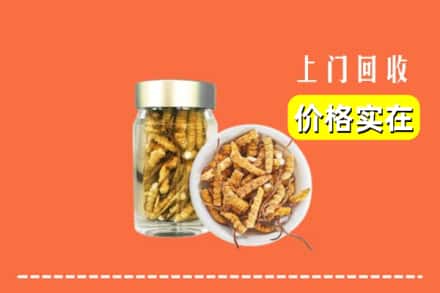 收购资讯:鹤壁浚县回收散虫草