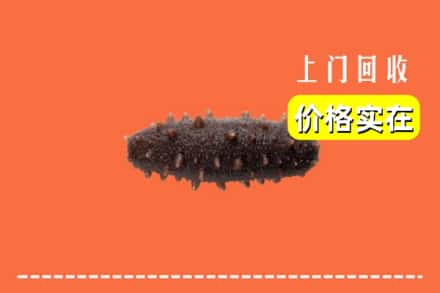 收购资讯:鹤壁浚县回收海参