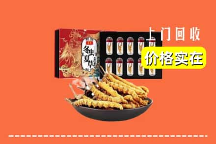 鹤壁浚县回收虫草